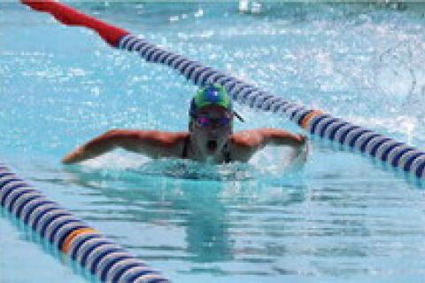 Article Image Alt Text