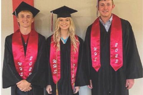 Article Image Alt Text