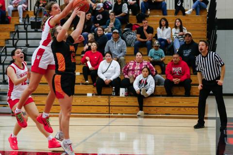 Article Image Alt Text