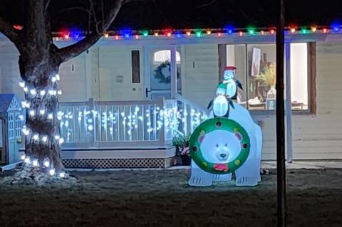 Article Image Alt Text