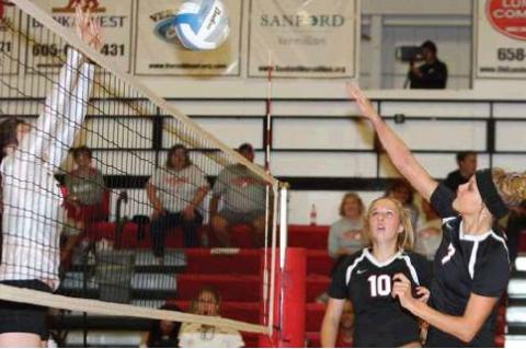 Article Image Alt Text