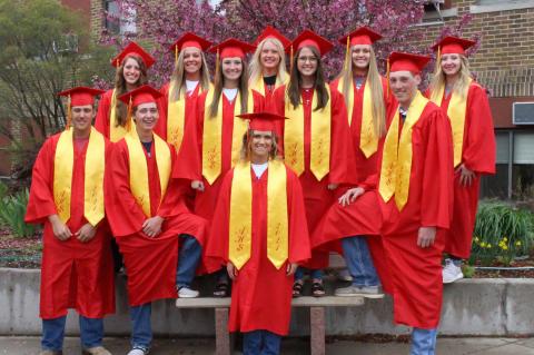 Article Image Alt Text