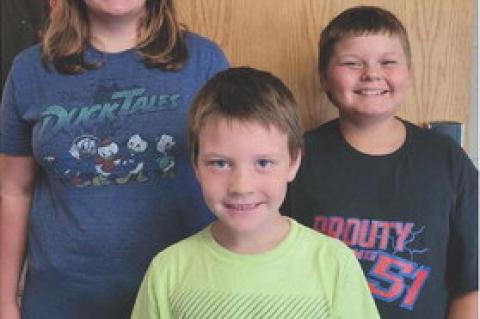 Article Image Alt Text