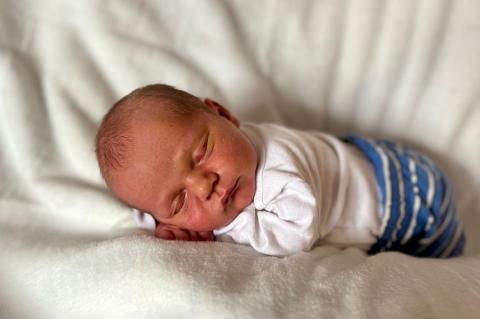 Article Image Alt Text