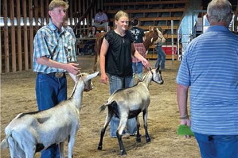 4-H ACHIEVEMENT DAYS HELD