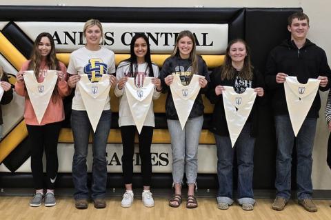 Article Image Alt Text