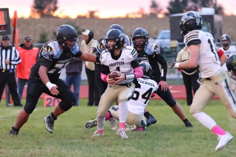 Article Image Alt Text