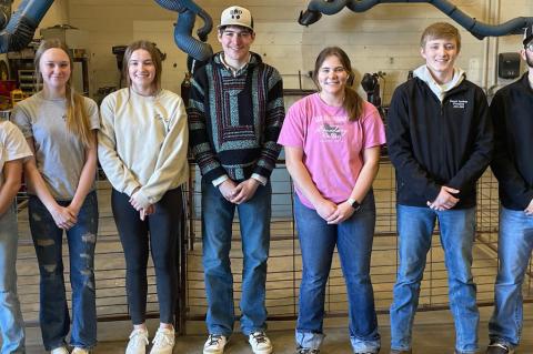 Article Image Alt Text