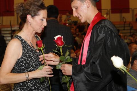 Article Image Alt Text