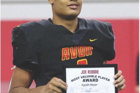 Article Image Alt Text