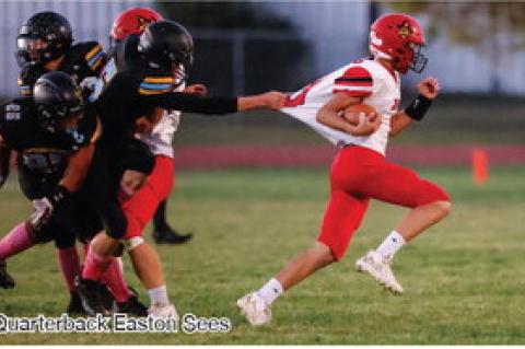 Article Image Alt Text