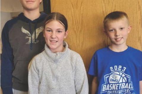 Article Image Alt Text