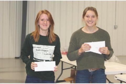 Article Image Alt Text