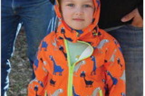 Article Image Alt Text