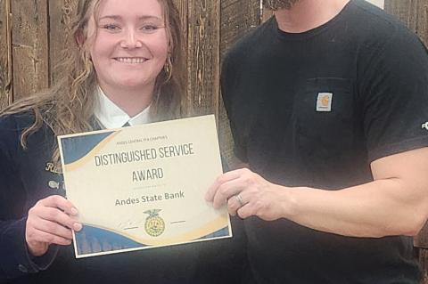 Article Image Alt Text