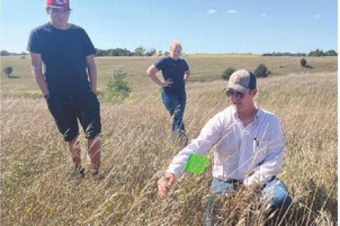 Article Image Alt Text