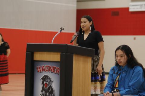 Article Image Alt Text