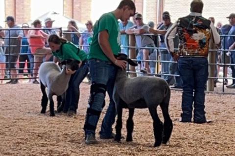 Article Image Alt Text