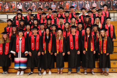 Article Image Alt Text