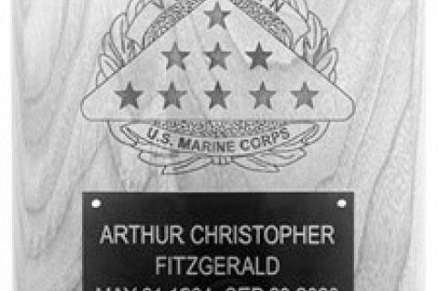 Article Image Alt Text