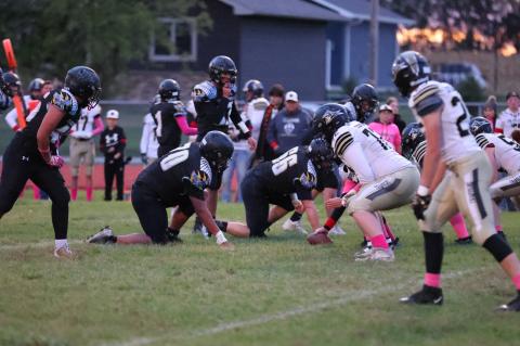 Article Image Alt Text