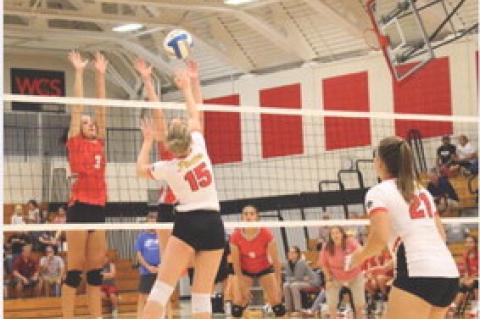 Article Image Alt Text