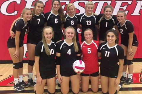 Article Image Alt Text