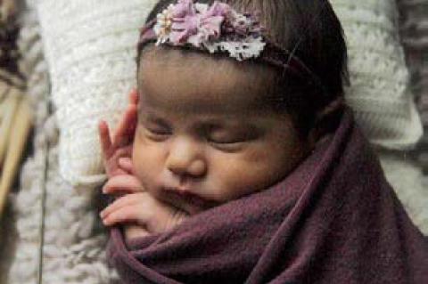 Article Image Alt Text