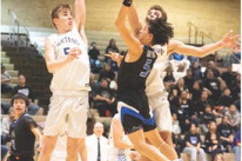 Article Image Alt Text