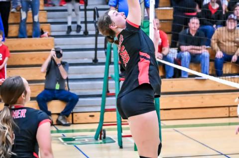 Article Image Alt Text