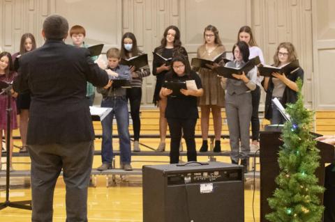 Article Image Alt Text