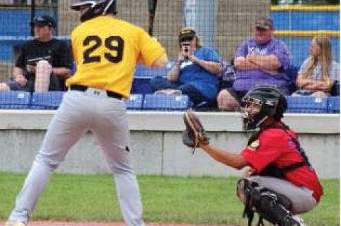 Article Image Alt Text