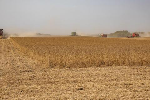 Article Image Alt Text