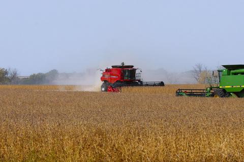 Article Image Alt Text