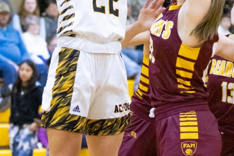 Article Image Alt Text