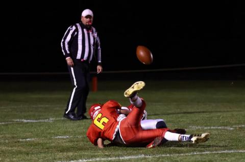 Article Image Alt Text