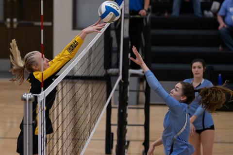 Article Image Alt Text