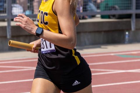 Article Image Alt Text