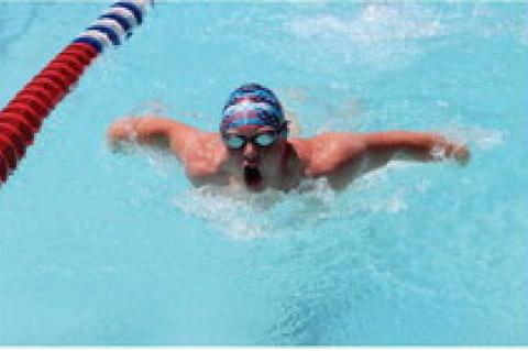 Article Image Alt Text