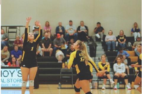 Article Image Alt Text