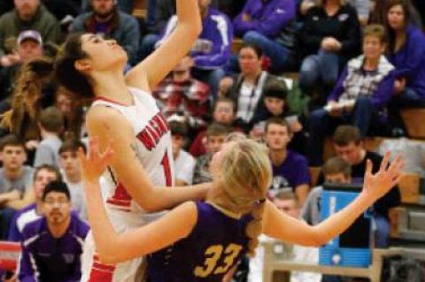 Article Image Alt Text