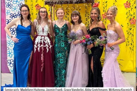 Article Image Alt Text