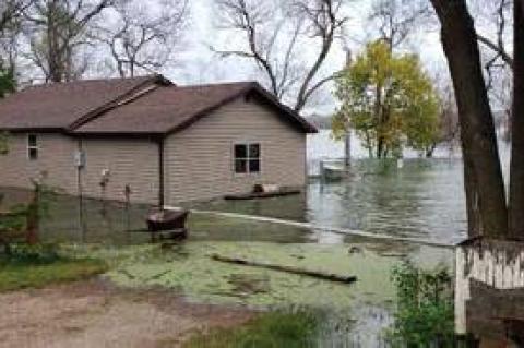 Article Image Alt Text