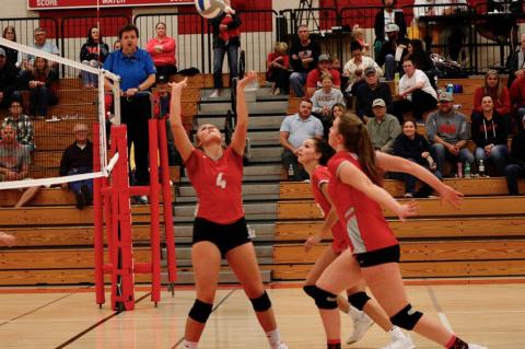 Article Image Alt Text