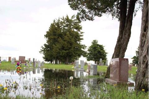 Article Image Alt Text