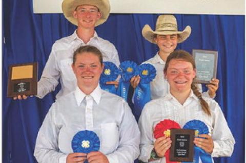 STATE 4-H HORSE SHOW RESULTS