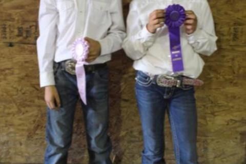 4-H HORSE SHOW PROJECT MEMBER RESULTS