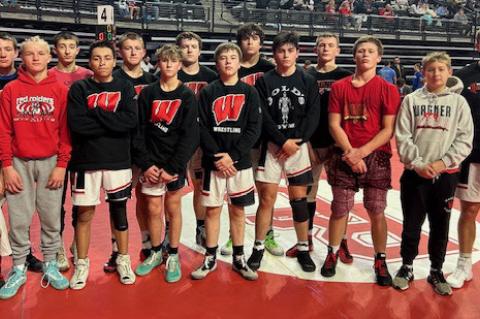 Article Image Alt Text