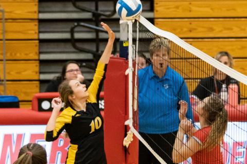 ACDC VOLLEYBALL RESULTS