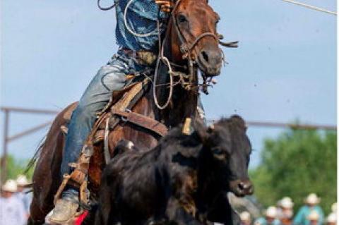 Photo courtesy of Chuck Miner